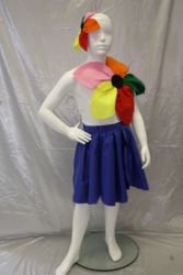 12 costumes
coloris jupes: bleu ou rose
maximum ce1
ref: 0062/1094 + 4130
0077/1085 + 0078/1086