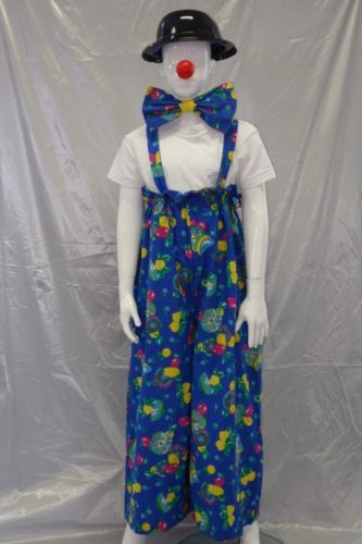 5 costumes bleus
6 costumes roses
ref:2093 + 4169 + 4034 + 4019