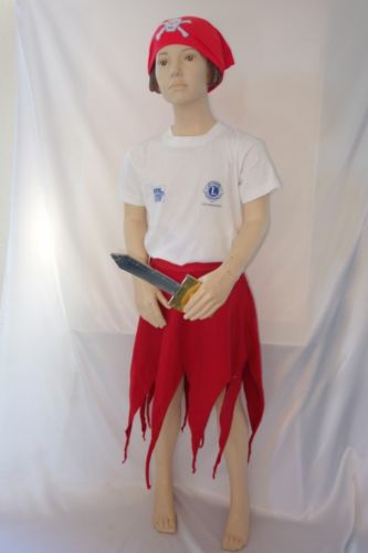 28 jupes
11 foulards
23 épées (à partager avec costume garçon)
t-shirt non fourni
ref:1039/2117 + 4102 + 4051
