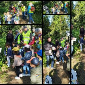 Sortie des PS/MSB au bois du Landreau